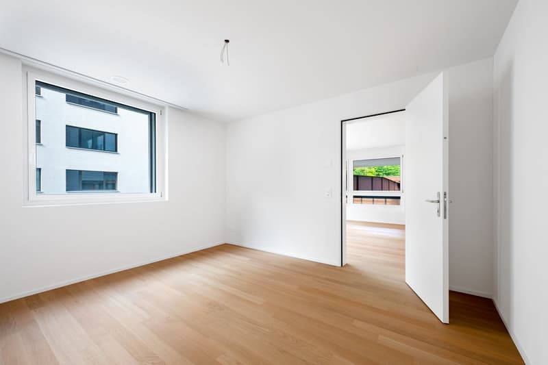 Moderne Wohnung in Schaffhausen (4)