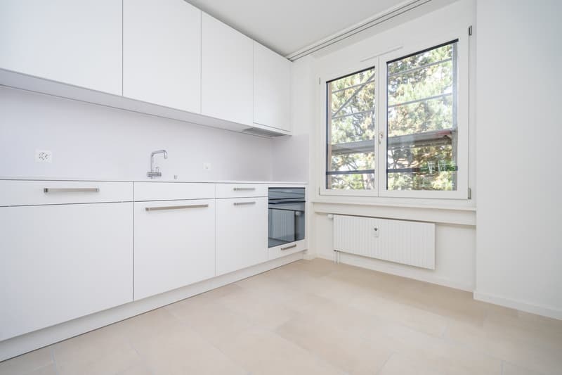 Modernisierte Wohnung mit viel Wohnfläche sucht Nachmieter per 01.07.2026 (3)
