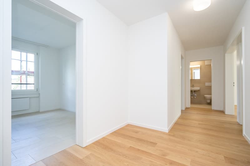 Modernisierte Wohnung mit viel Wohnfläche sucht Nachmieter per 01.07.2026 (6)
