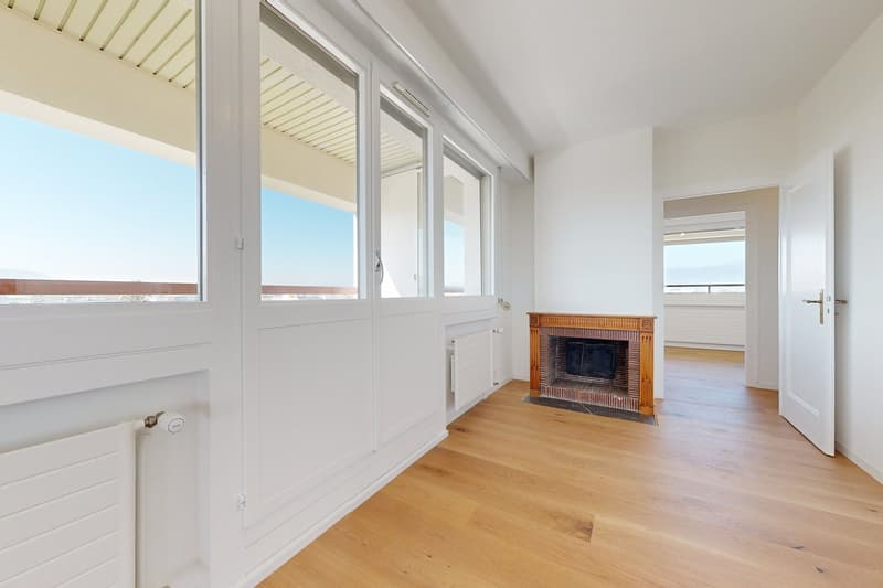Bel appartement rénové de standing ! (6)