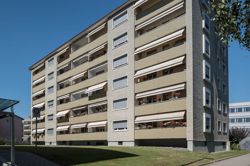 Modernisierte Wohnung inmitten von Zuchwil (8)