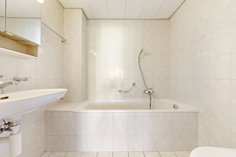 Appartement lumineux et spacieux (7)