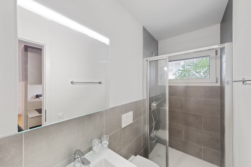 Spazi rinnovati nel cuore di Lugano con terrazza privata (3)