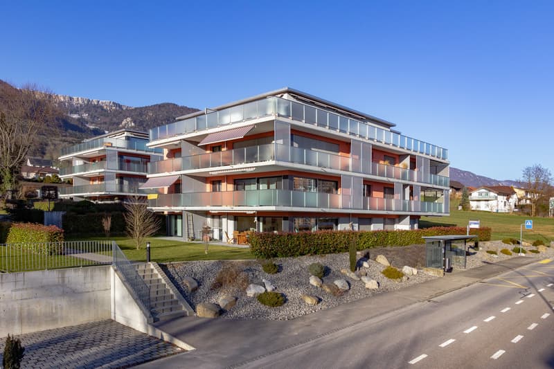 Topmodernes Wohnen mit Gartensitzplatz und Feldaussicht! (3)