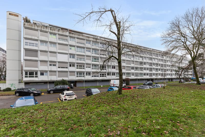 Vivre en famille dans un quartier calme de Meyrin ! (12)
