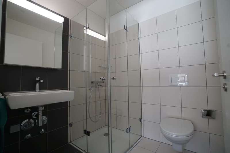 Limmatspot - Wohnen im Zentrum (8)