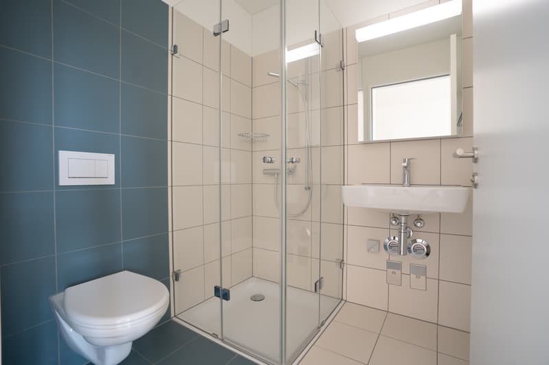 Limmatspot - Wohnen im Zentrum (7)