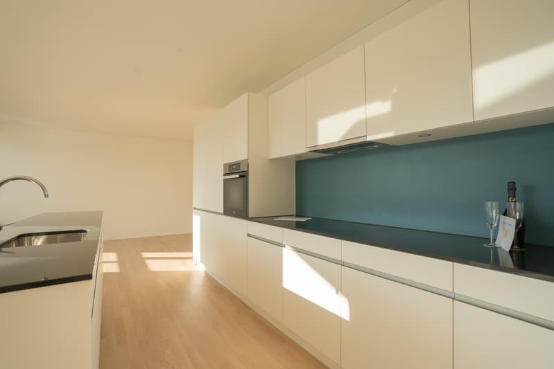 Limmatspot - Wohnen im Zentrum (4)