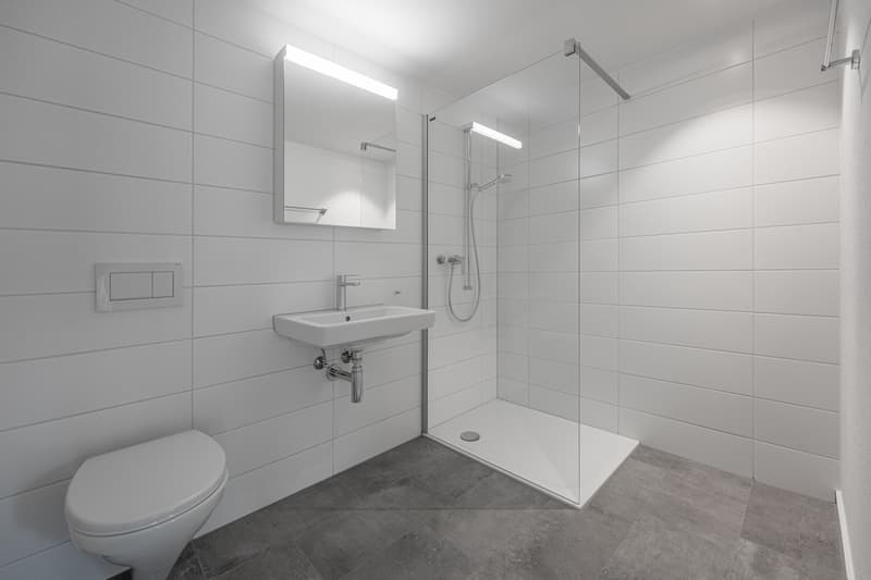 Wohnung an idyllische Lage am Pfannenstiel und am Greifensee (7)