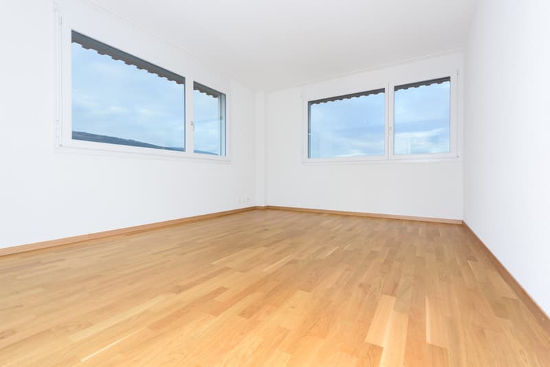 Splendide appartement en attique (5)