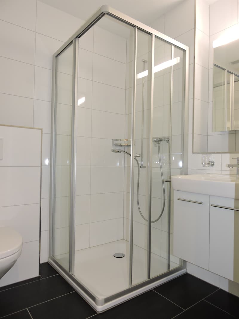 Moderne Wohnung mit grossem Balkon am Fusse der Rigi (11)