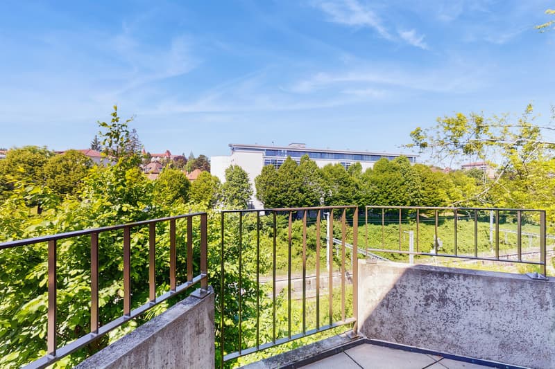 Appartements rénovés à Fribourg (8)