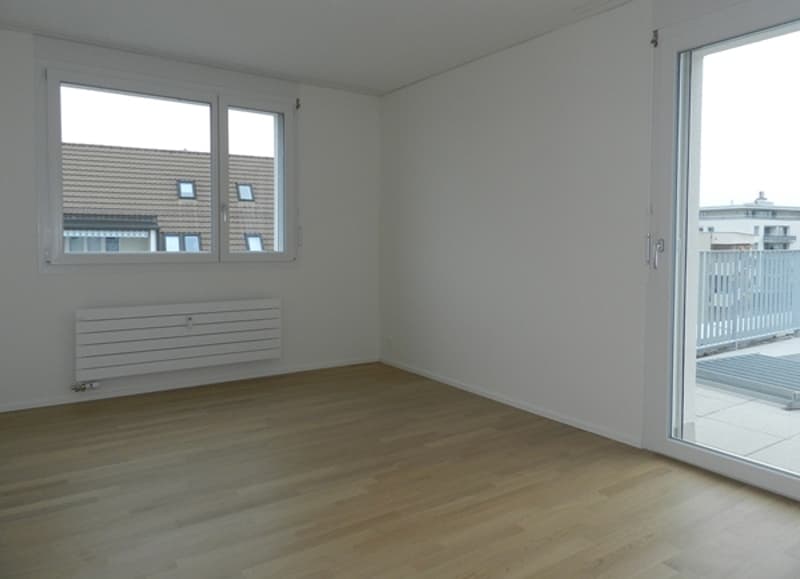 Attikawohnung mit grosser Terrasse! (3)