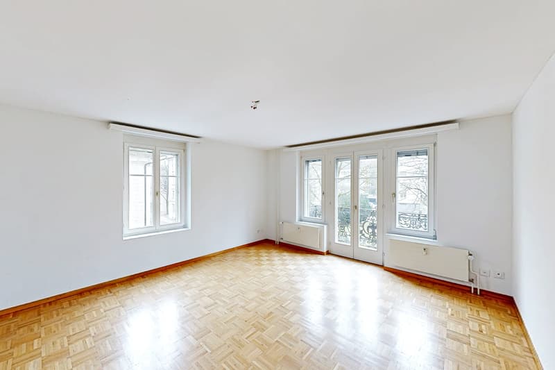 Grosszügige Singlewohnung (5)