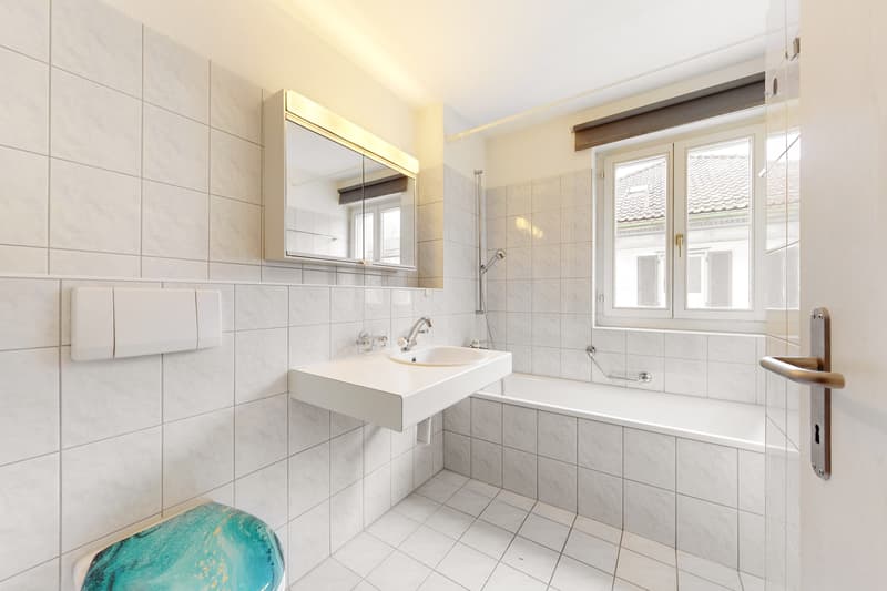 Grosszügige Singlewohnung (4)
