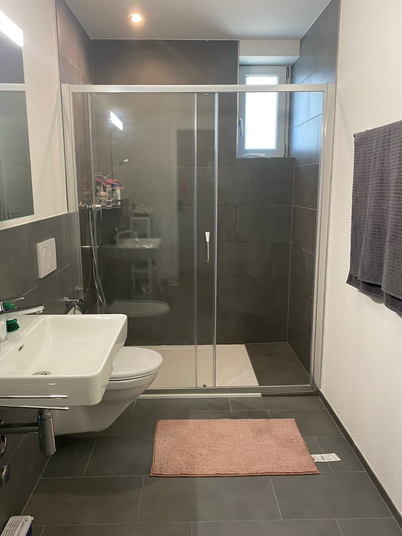Gemütliche Singlewohnung zu vermieten (3)