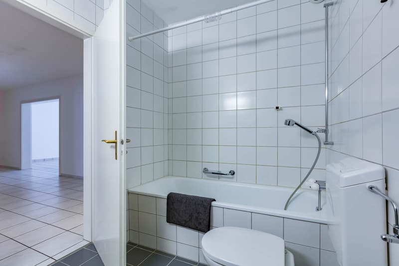 Grosszügig und zentral gelegen (8)