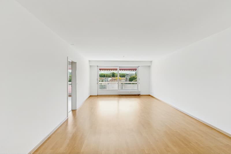 Grosszügige 4.5-Zimmerwohnung im Herzen von Birsfelden (4)