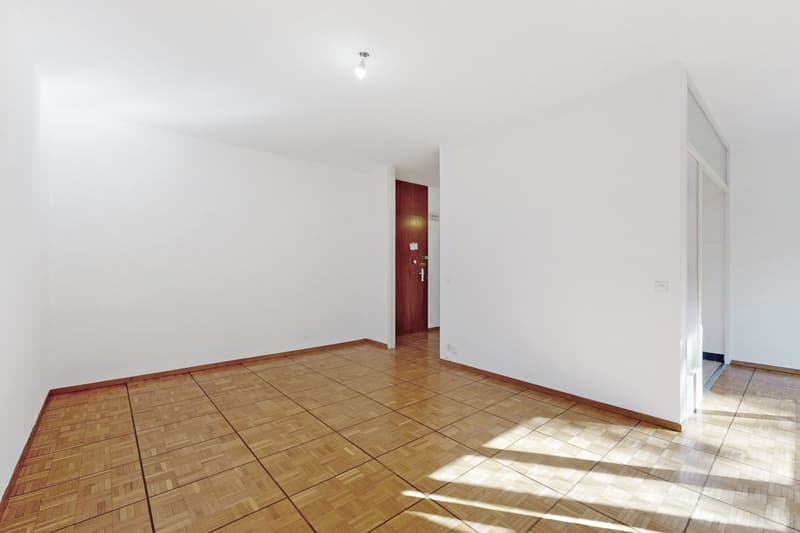 Votre appartement près du parc des Voirets ! (3)