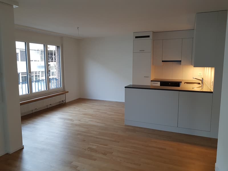 Nähe Bahnhof Oerlikon, zentrale Lage (5)