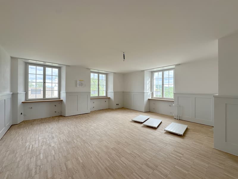 Wohntraum Maisonette im historischen MEIERHOF! (4)