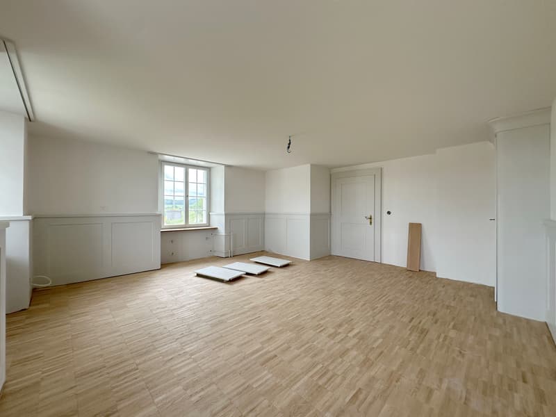Wohntraum Maisonette im historischen MEIERHOF! (5)