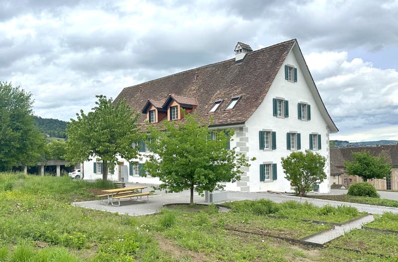 Wohntraum Maisonette im historischen MEIERHOF! (2)