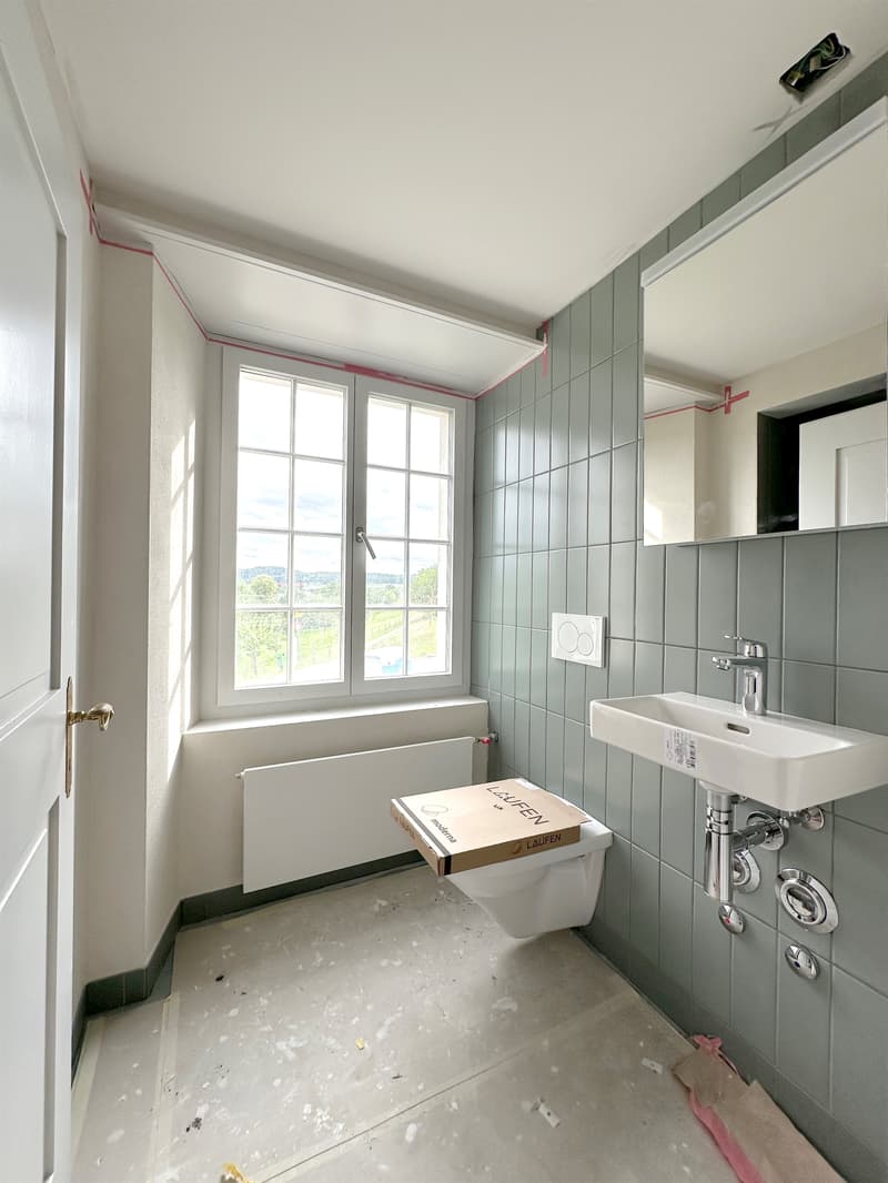 Wohntraum Maisonette im historischen MEIERHOF! (13)