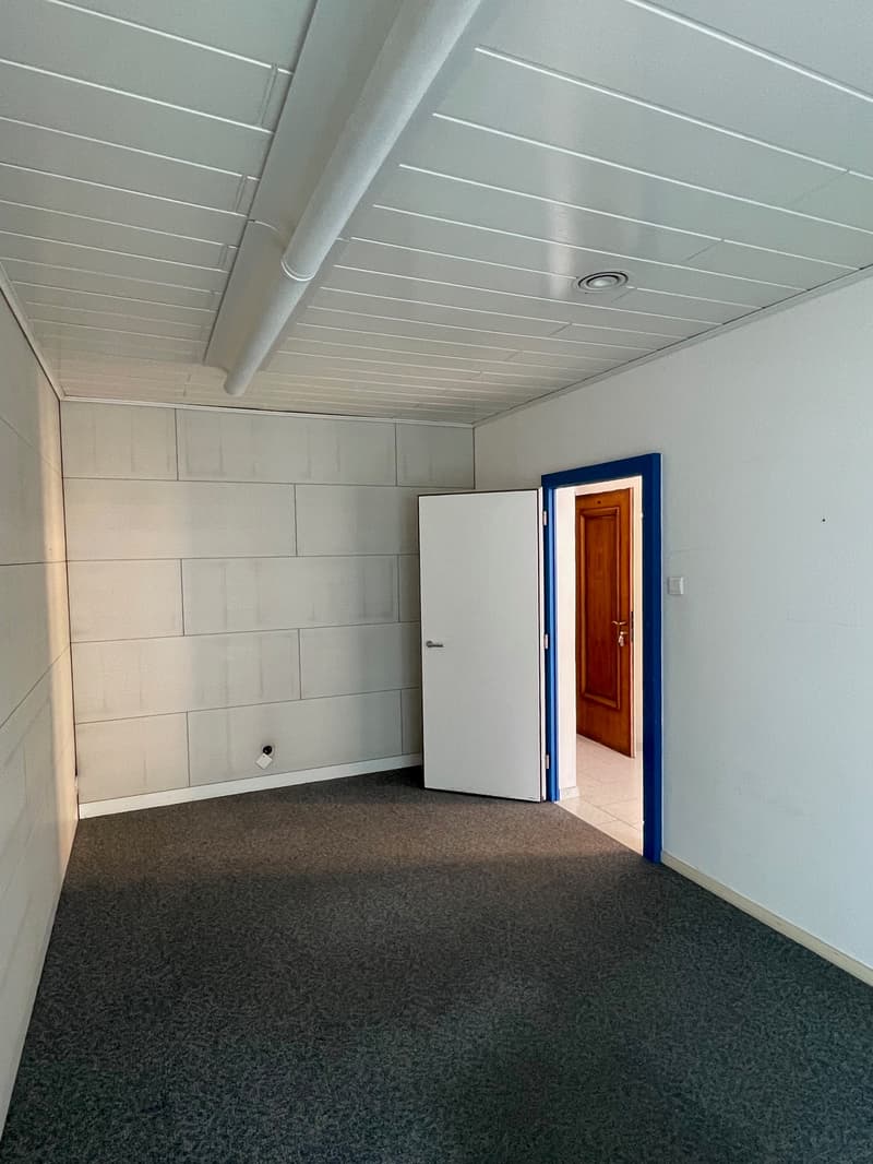 IL TUO LOCALE COMMERCIALE IN PIENO CENTRO A BELLINZONA (6)