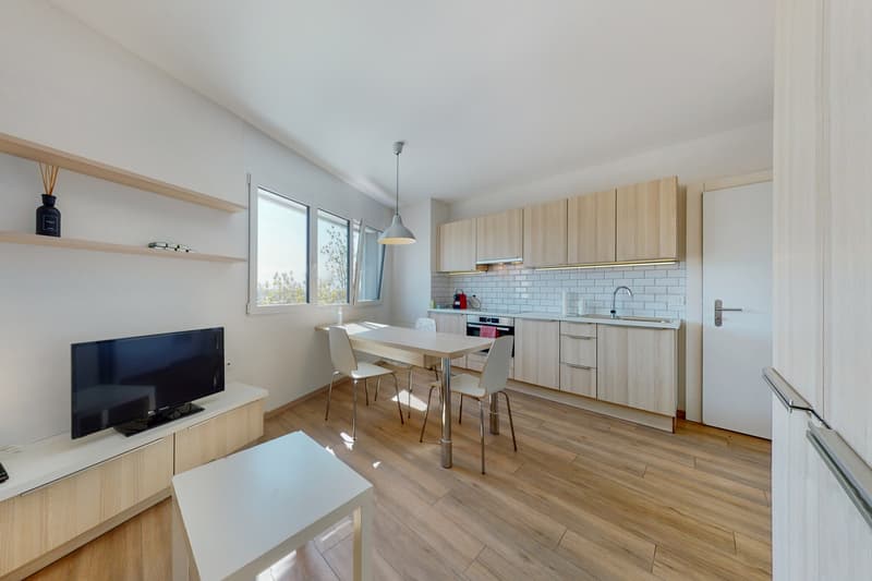 Votre appartement à Bussigny ! (6)