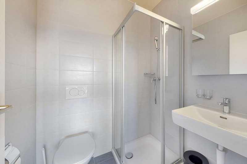 Votre appartement à Bussigny ! (8)