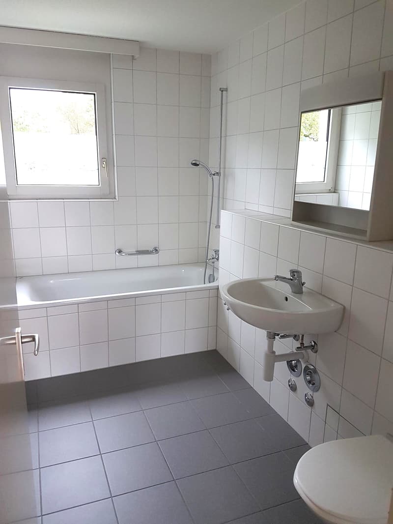 Lichtdurchflutete Wohnung in Aarau Rohr (4)