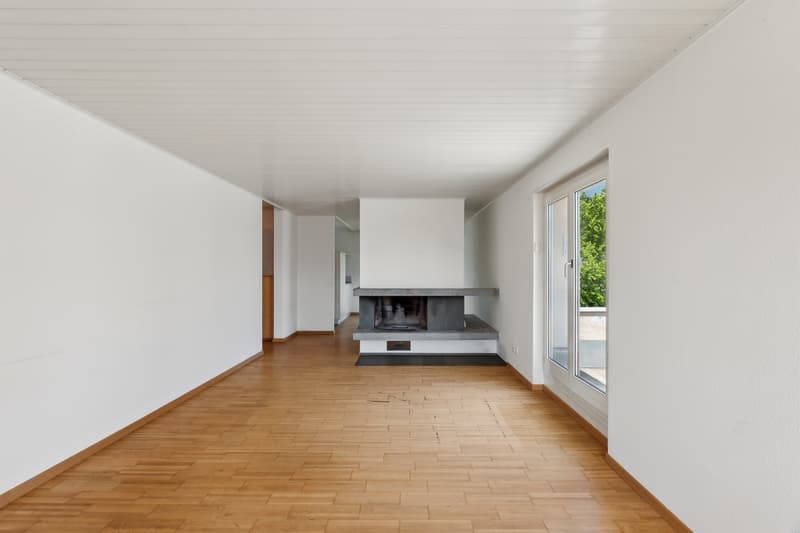 Attraktive Attikawohnung mit grosser Dachterrasse (5)
