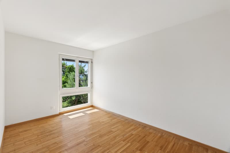 Attraktive Attikawohnung mit grosser Dachterrasse (3)