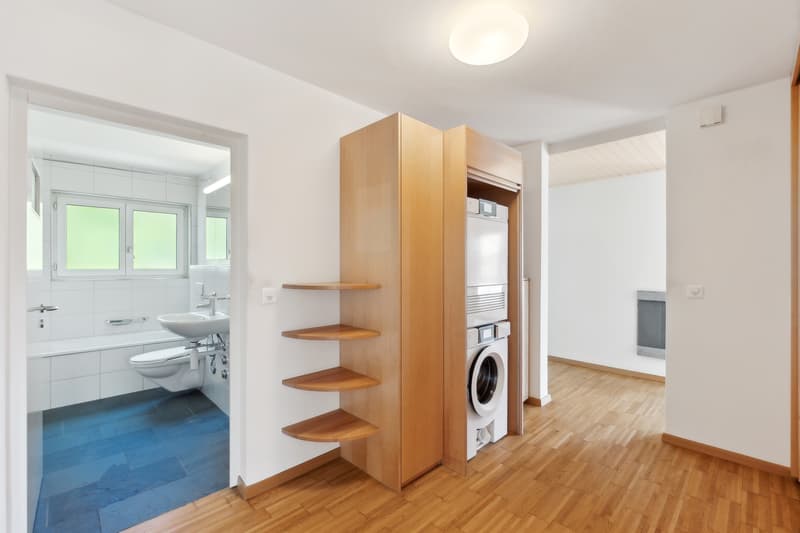 Attraktive Attikawohnung mit grosser Dachterrasse (2)