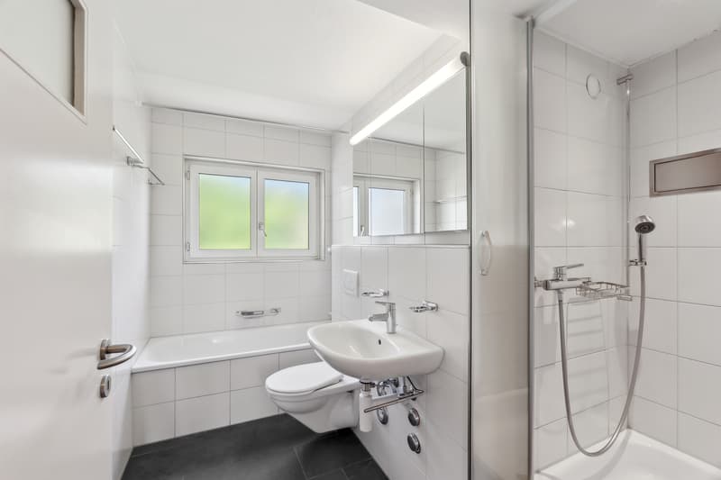 Attraktive Attikawohnung mit grosser Dachterrasse (8)