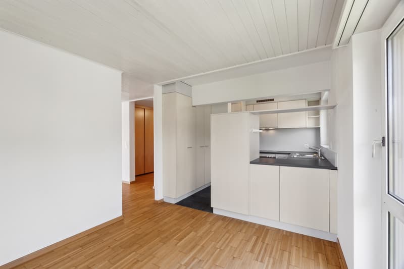 Attraktive Attikawohnung mit grosser Dachterrasse (6)