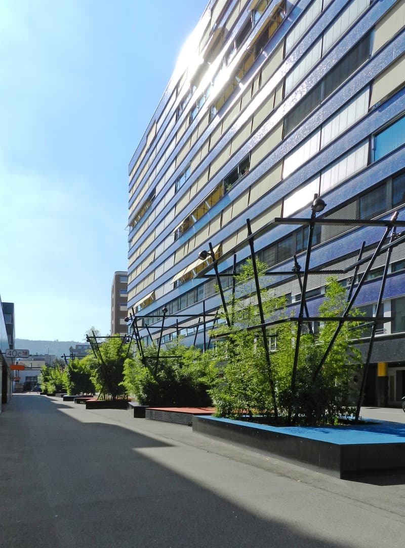 Moderne Bürofläche an attraktiver Lage in Zürich Albisrieden (1)