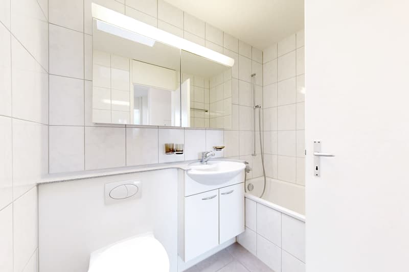 Dachwohnung mit grosser Terrasse und grossartiger Aussicht! (7)