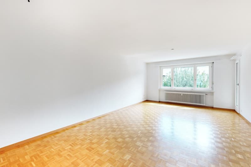 Attikawohnung mit Seesicht (8)