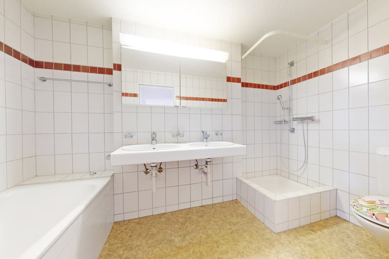 Grosszügige Wohnung mit Alpensicht sucht Nachmieter (9)