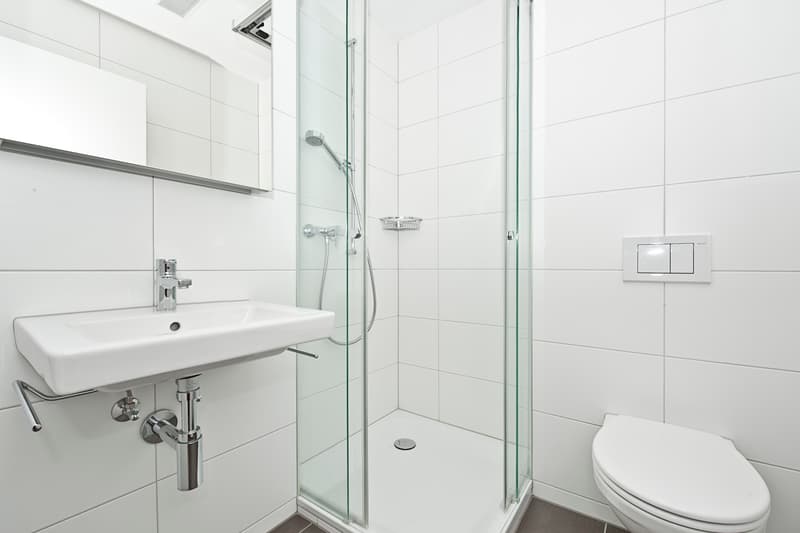 Hochwertig und modern wohnen (7)