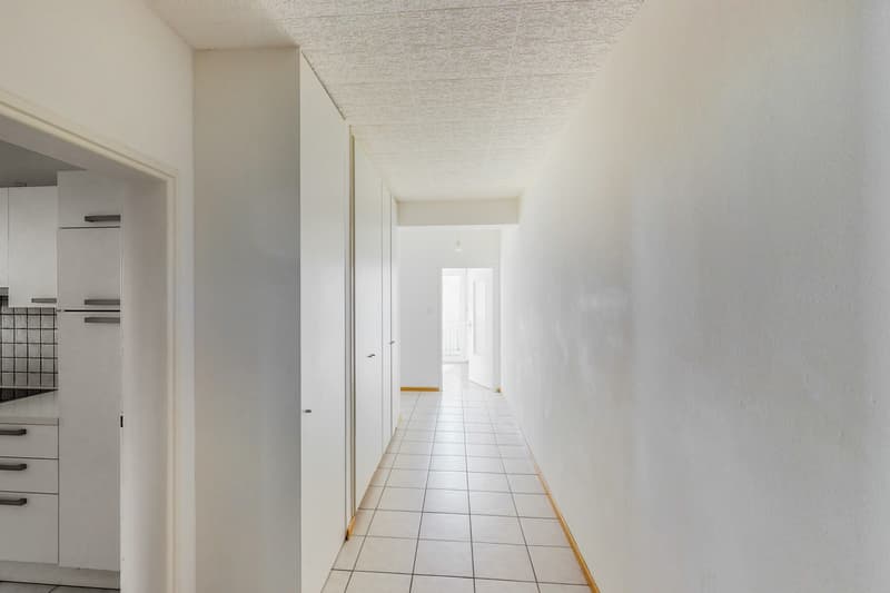 Luce e comfort nel cuore di Bellinzona (6)