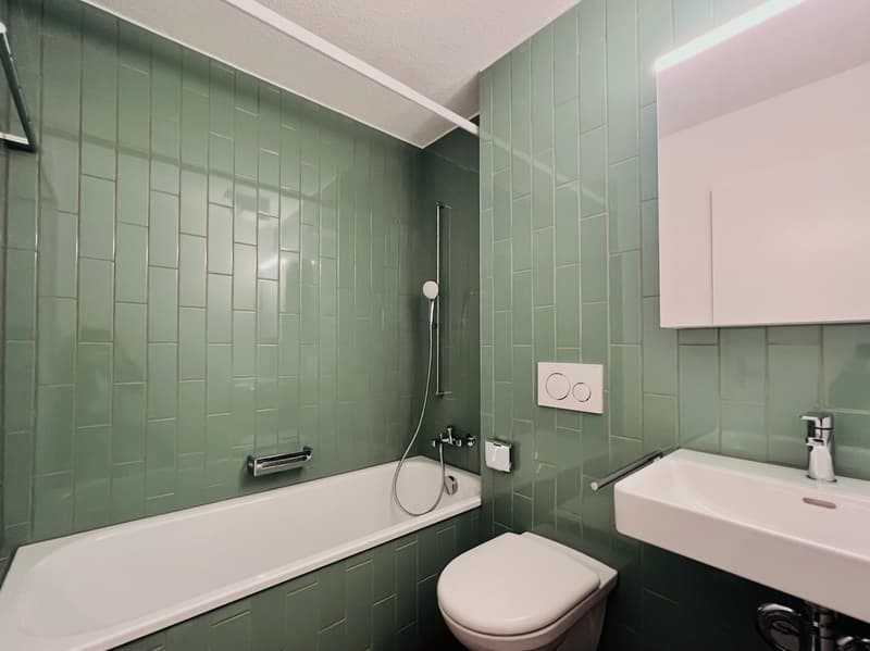 Ruhige Wohnfühloase gesucht? frisch sanierte 3.5 Zimmer-Wohnung (8)