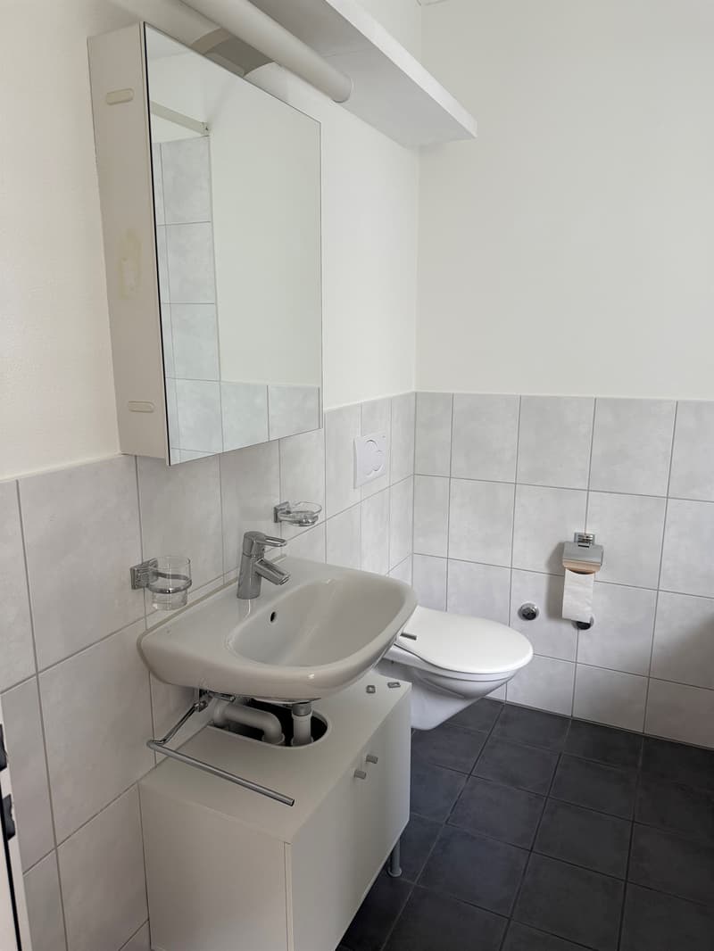 Ihr neuer Rückzugsort in der Stadt Luzern! (6)