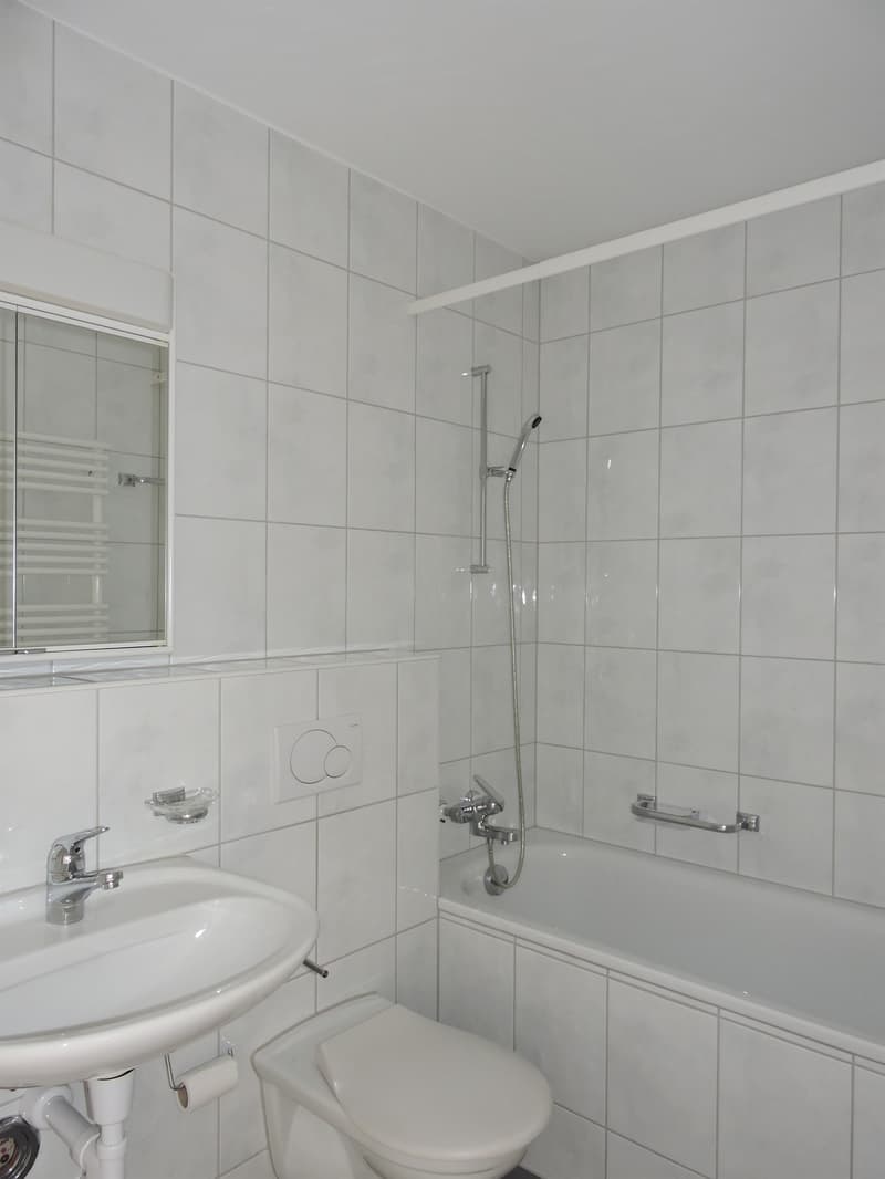 Singles aufgepasst! Charmante 1-Zimmerwohnung in Therwil (4)