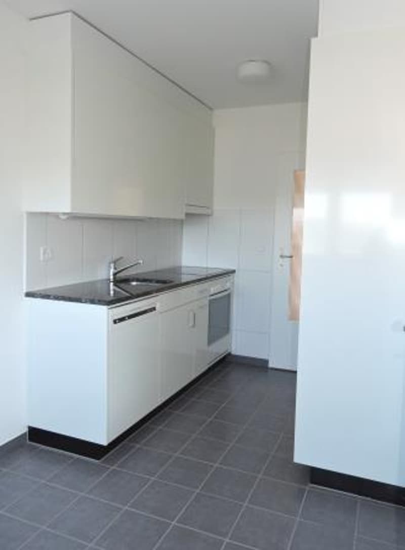 Singles aufgepasst! Charmante 1-Zimmerwohnung in Therwil (3)