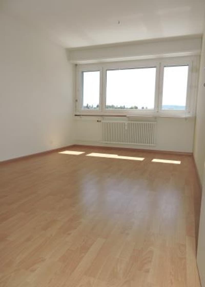Singles aufgepasst! Charmante 1-Zimmerwohnung in Therwil (2)