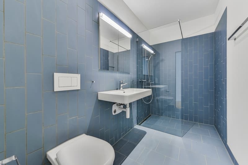Zwicky-Zentrum - Ihr neues Zuhause modern und praktisch! (4)