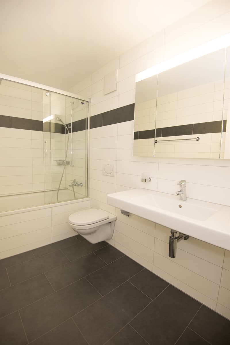 Attraktive Maisonettewohnung mit Dachterrasse (8)
